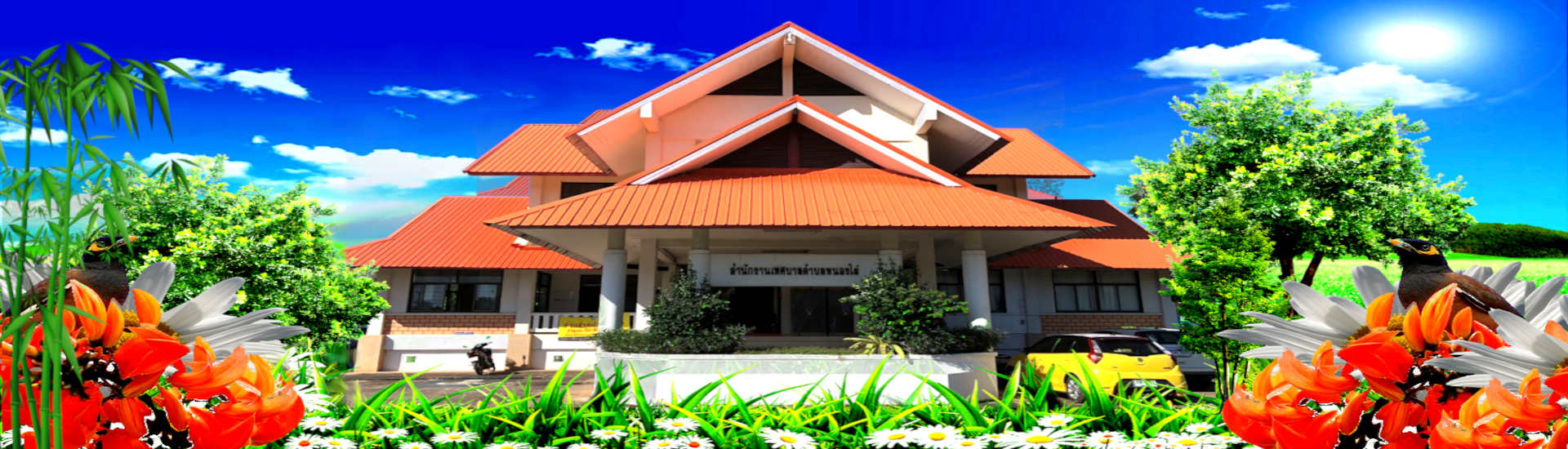 พื้นหลัง